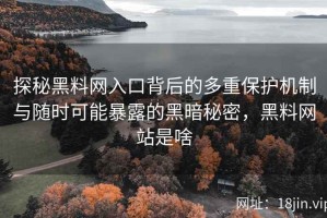 探秘黑料网入口背后的多重保护机制与随时可能暴露的黑暗秘密，黑料网站是啥