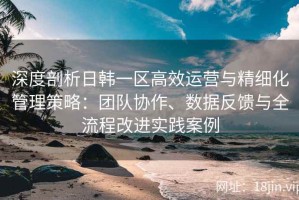 深度剖析日韩一区高效运营与精细化管理策略：团队协作、数据反馈与全流程改进实践案例