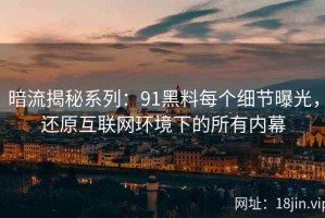 暗流揭秘系列：91黑料每个细节曝光，还原互联网环境下的所有内幕