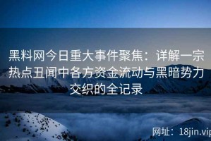 黑料网今日重大事件聚焦：详解一宗热点丑闻中各方资金流动与黑暗势力交织的全记录