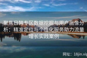 聚焦日韩专区数据挖掘与用户画像分析：精准定位与个性化服务助力流量增长实践案例