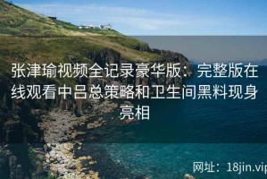 张津瑜视频全记录豪华版：完整版在线观看中吕总策略和卫生间黑料现身亮相