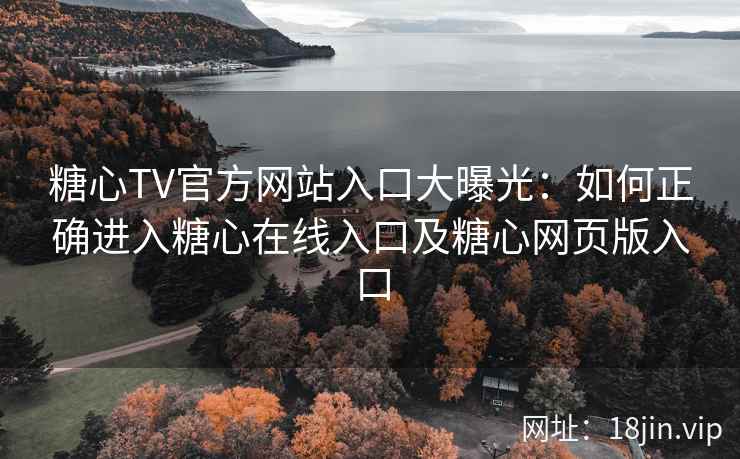 糖心TV官方网站入口大曝光：如何正确进入糖心在线入口及糖心网页版入口