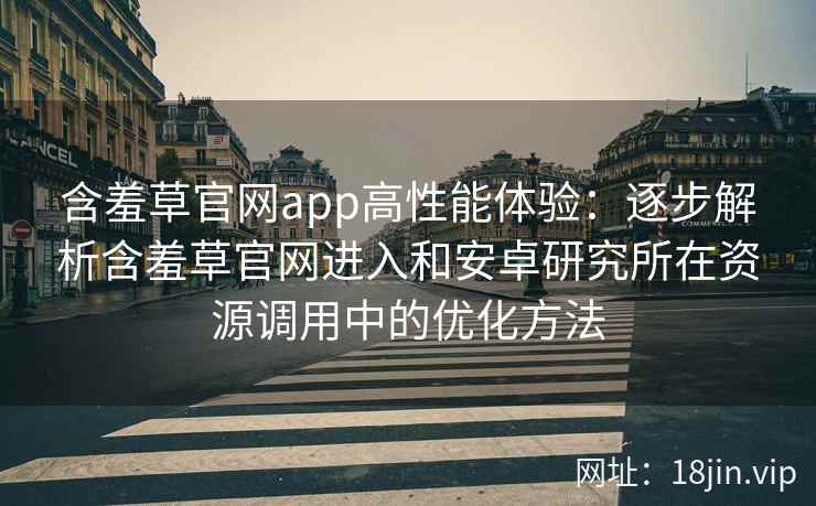 含羞草官网app高性能体验：逐步解析含羞草官网进入和安卓研究所在资源调用中的优化方法