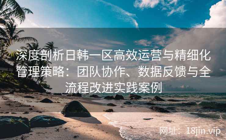 深度剖析日韩一区高效运营与精细化管理策略：团队协作、数据反馈与全流程改进实践案例