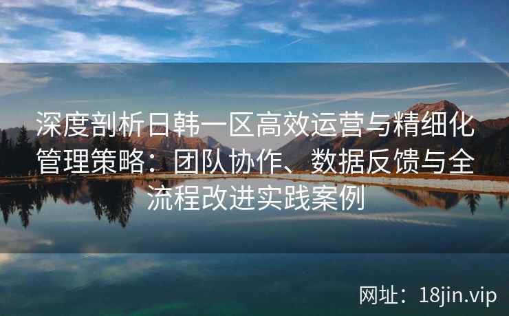 深度剖析日韩一区高效运营与精细化管理策略：团队协作、数据反馈与全流程改进实践案例