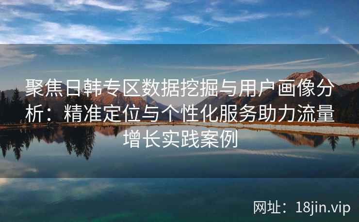 聚焦日韩专区数据挖掘与用户画像分析：精准定位与个性化服务助力流量增长实践案例
