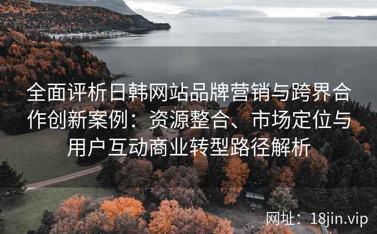 全面评析日韩网站品牌营销与跨界合作创新案例：资源整合、市场定位与用户互动商业转型路径解析