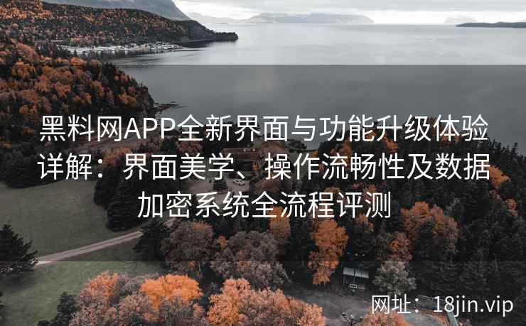 黑料网APP全新界面与功能升级体验详解：界面美学、操作流畅性及数据加密系统全流程评测
